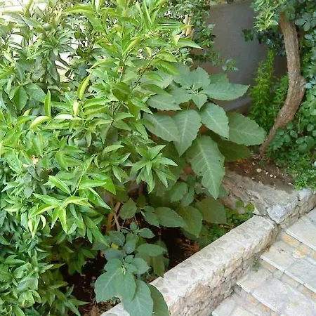 Bor Apartamento Makarska