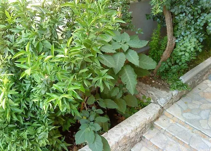 Bor Apartment Makarska